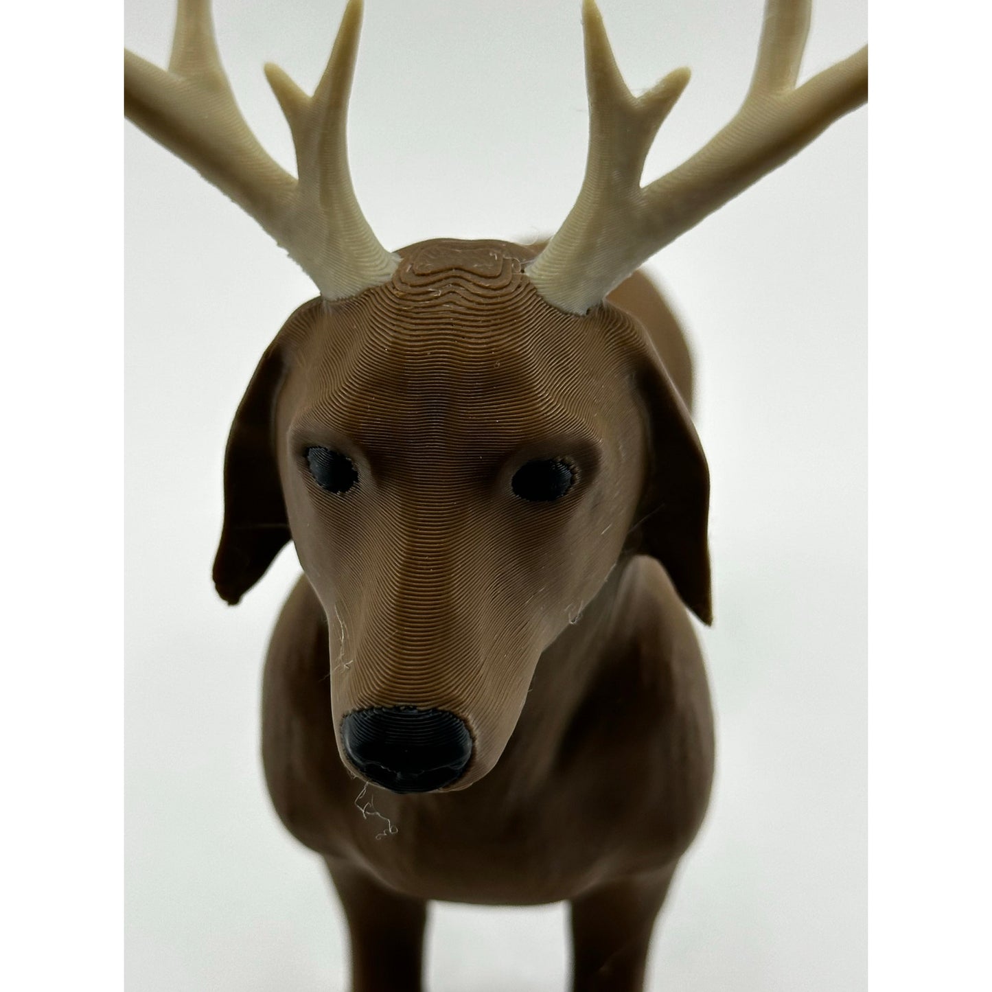 Dachshund Reindeer