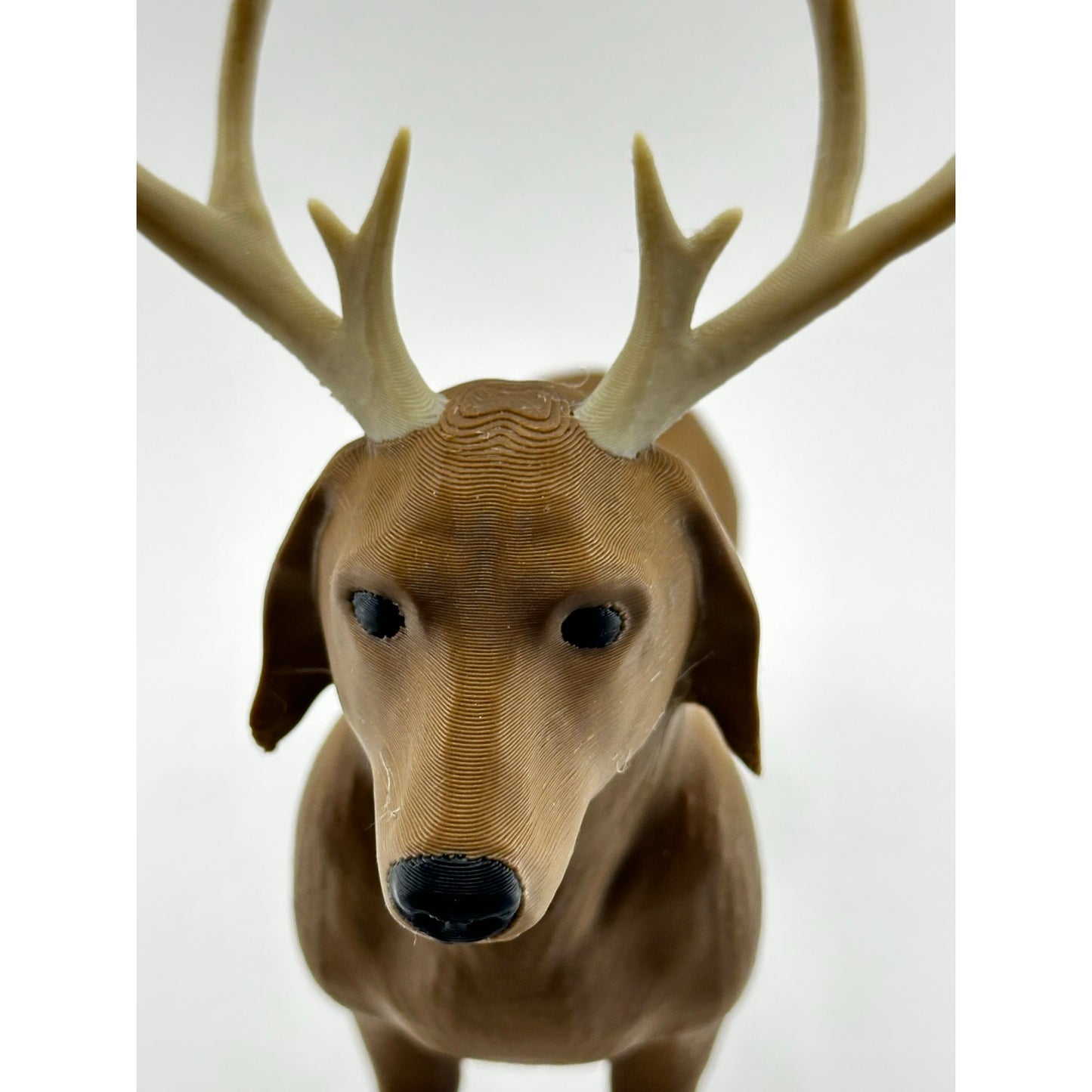 Dachshund Reindeer